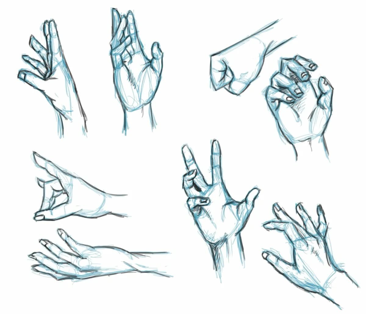 Референсы рук рисунок. Руки для рисования. Рука нарисованная. Рука референс для рисования. Анатомия рук для рисования.