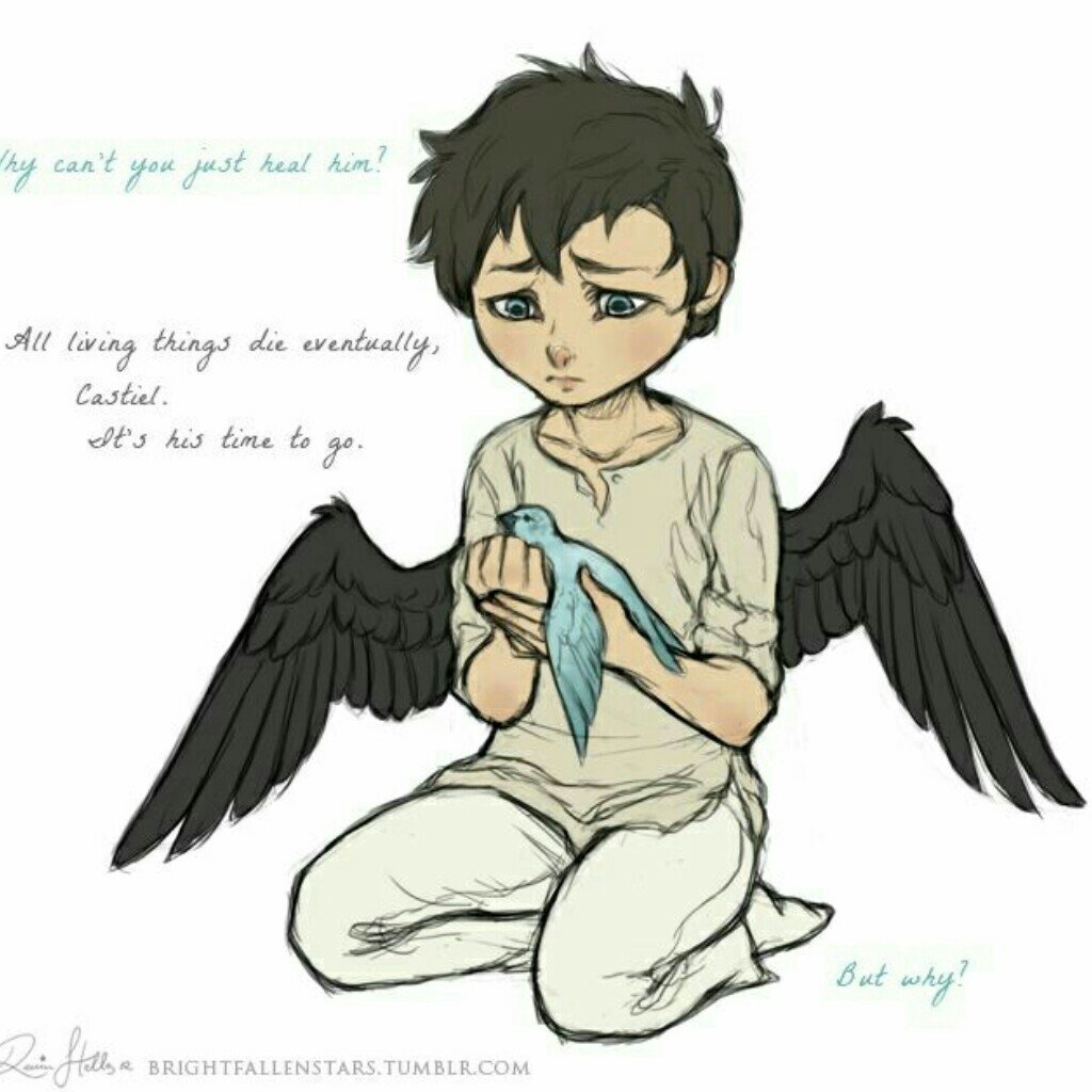 Маленький Кастиэль