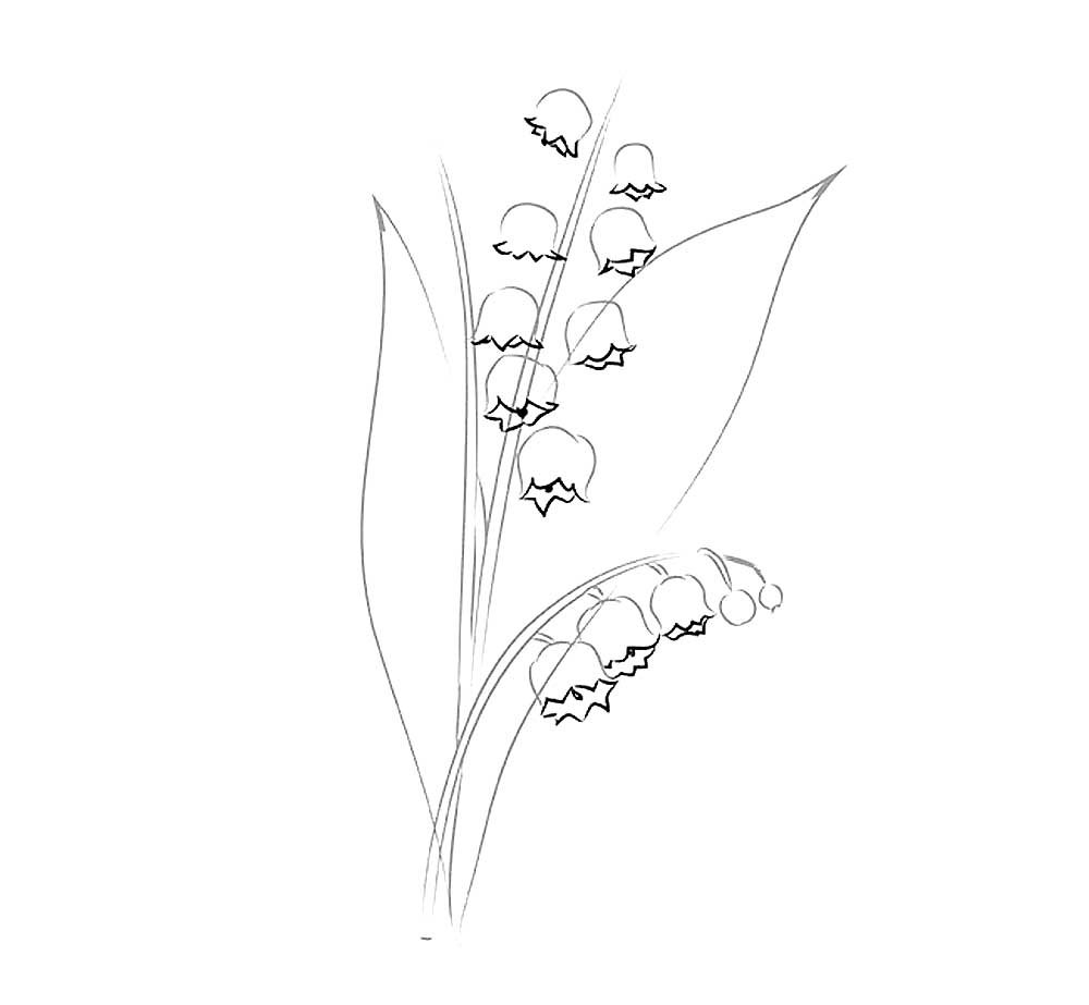 Ландыш Майский разукрашка