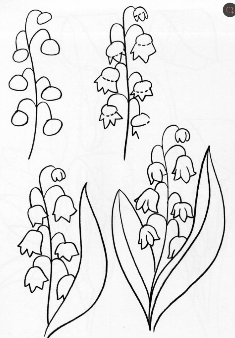 Ландыши иллюстрация