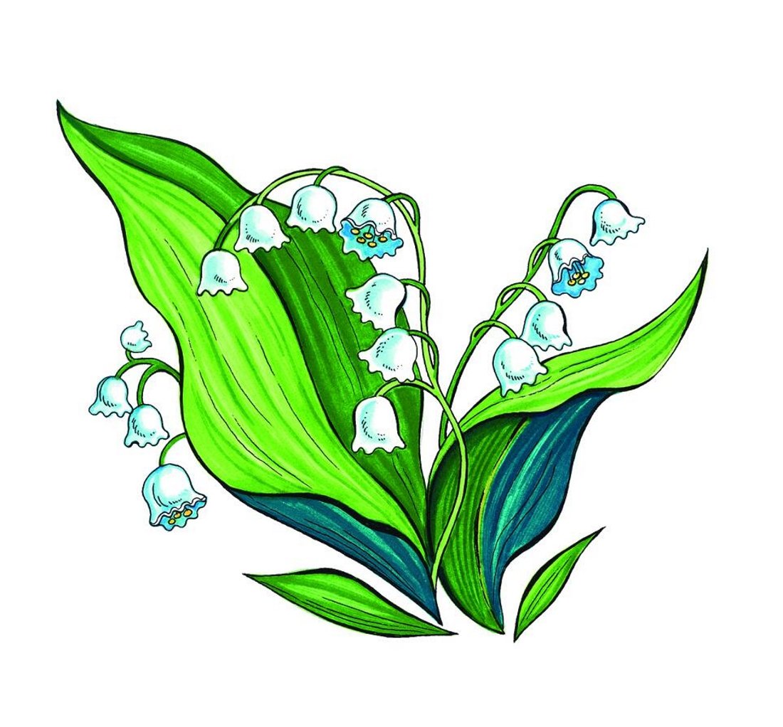 Ландыш стилизация