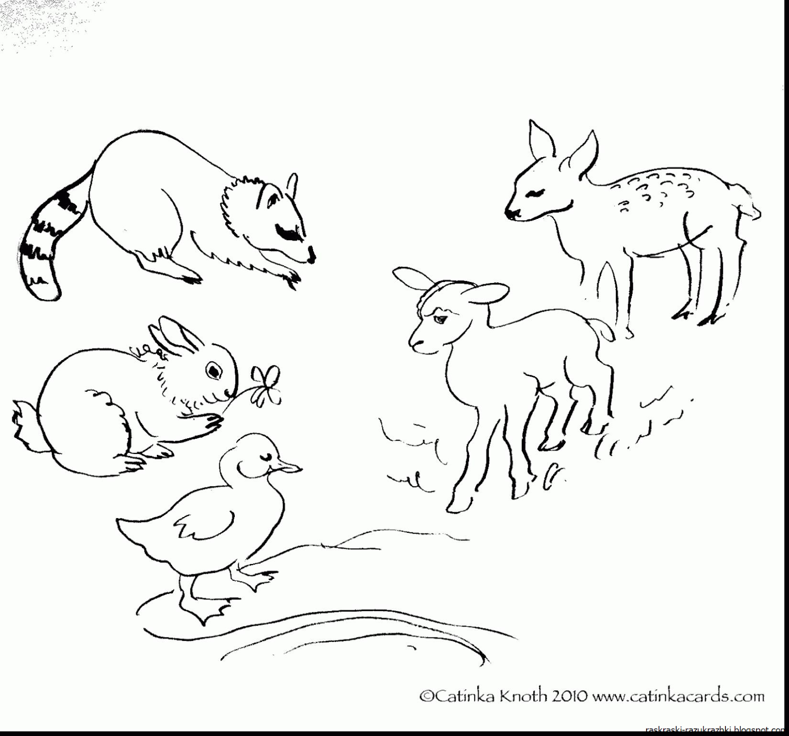 Дикие животные весной задания. Раскраски диких животных для детей. Раскраска "Дикие животные". Дикие животные раскраска для детей. Лесные животные раскраска для детей.
