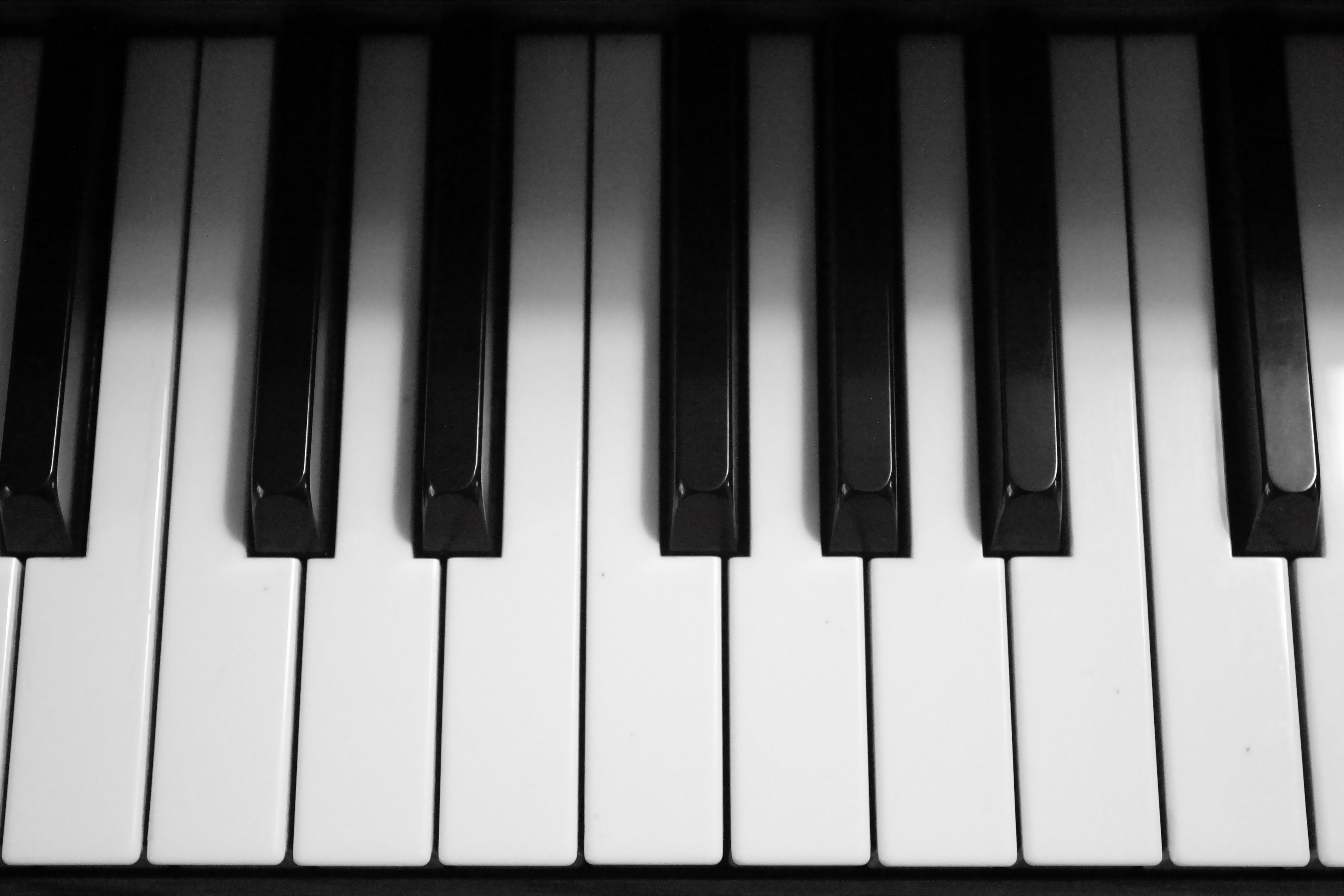 Клавиши белого рояля. Клавиши пианино. Клавиатура рояля. Клавиатура пианино. Фортепиано.