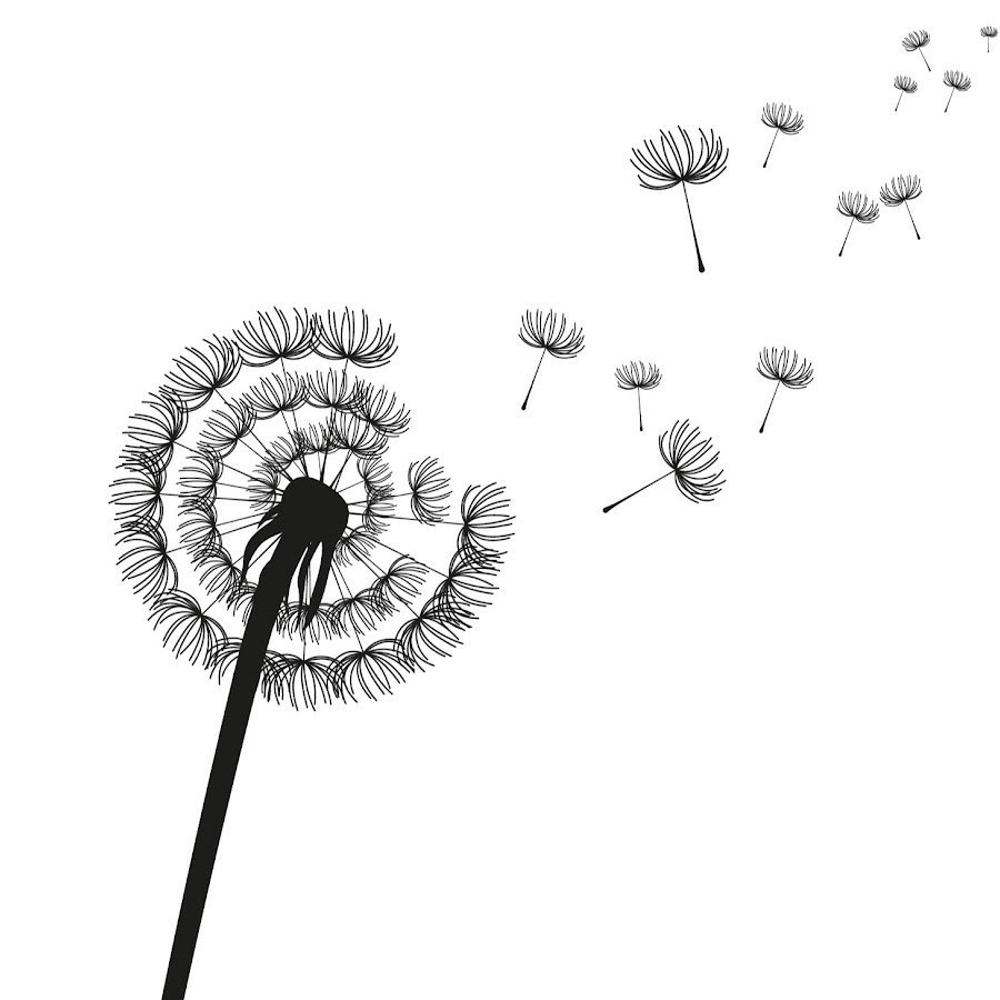 Одуванчик эскиз