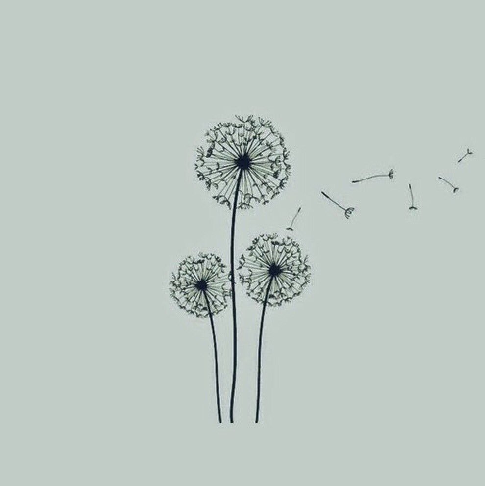 Фон одуванчики желтые