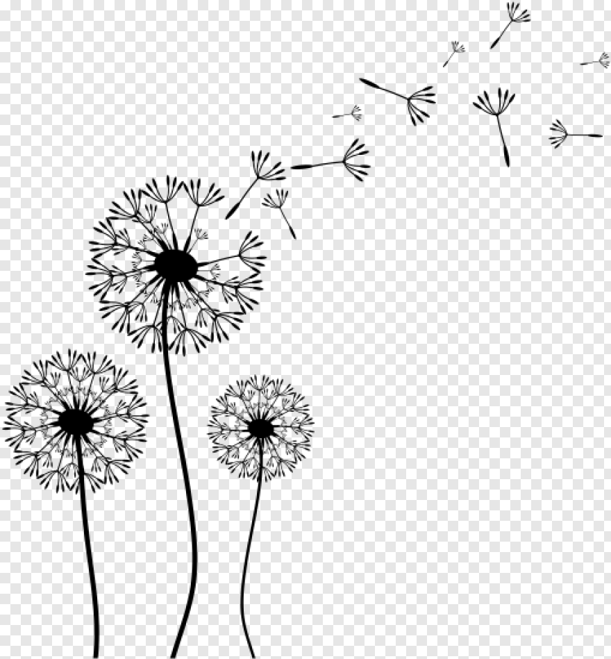 Одуванчик трафарет на белом фоне