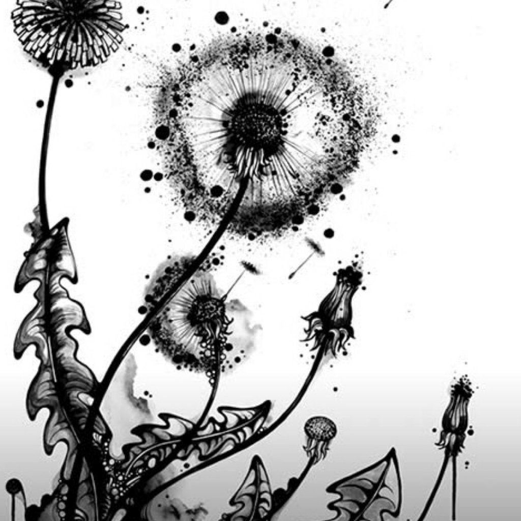 Dandelion Wishes схема