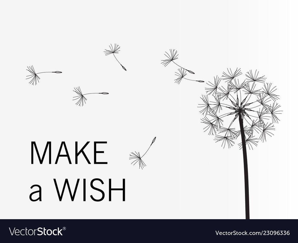 Одуванчик контур рисунок