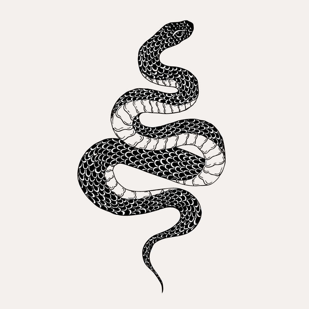 Змея эскиз. Тату эскиз змея чб. Эскиз змеи Минимализм. Татуировка змея на белом фоне. Тату змея с фоном.