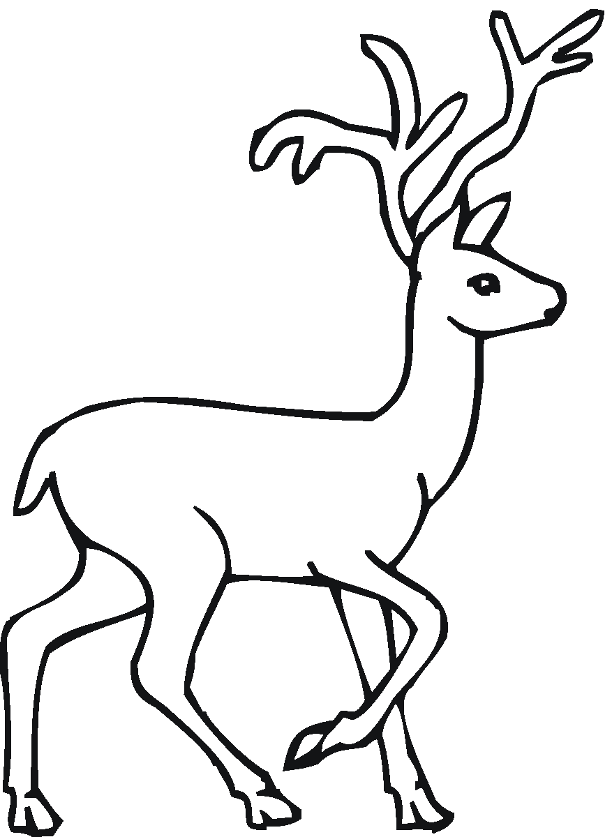 Нарисовать оленя
