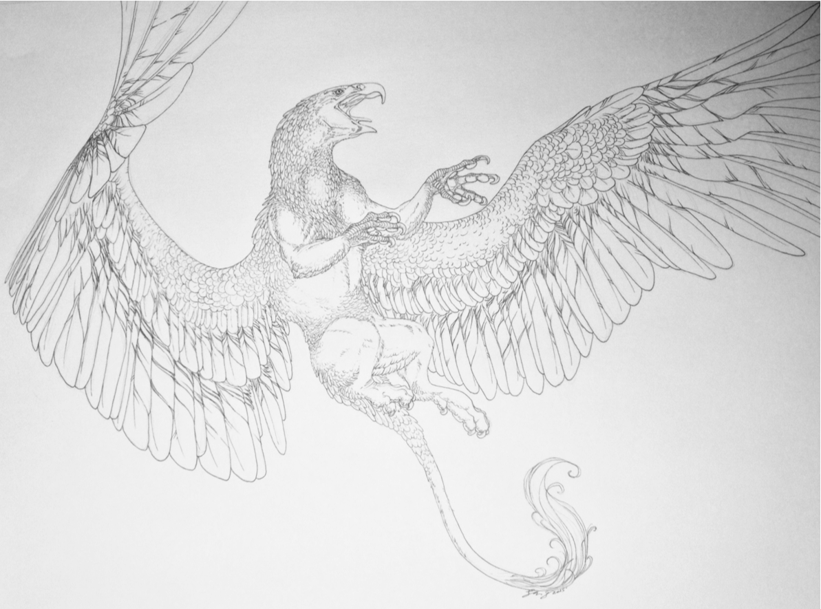 Грифон набросок