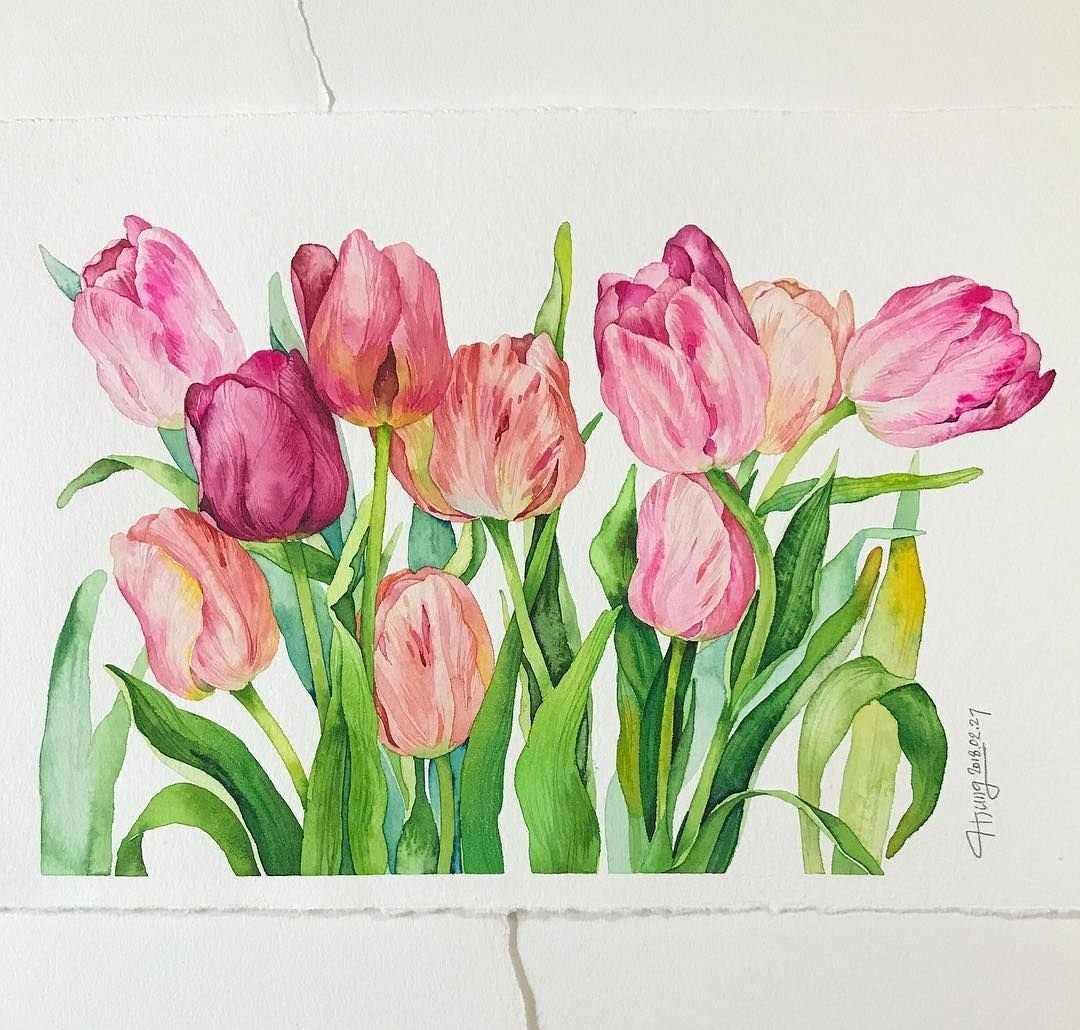 Тюльпан раскраска для детей