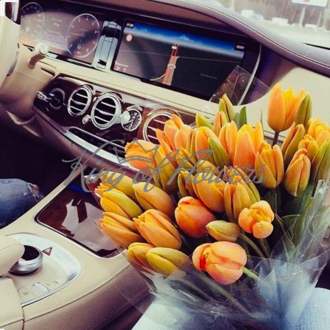 Тюльпаны цветными карандашами