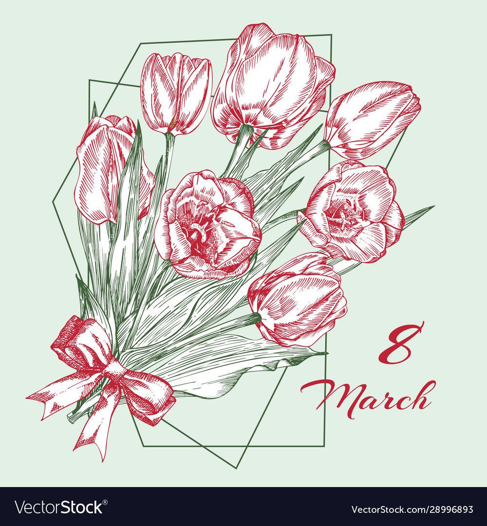 Тюльпаны иллюстрация