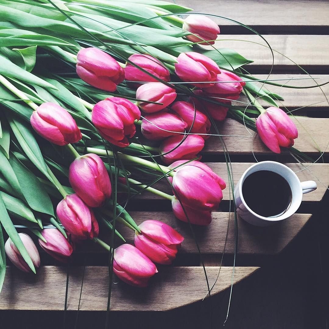 Букет тюльпанов контур