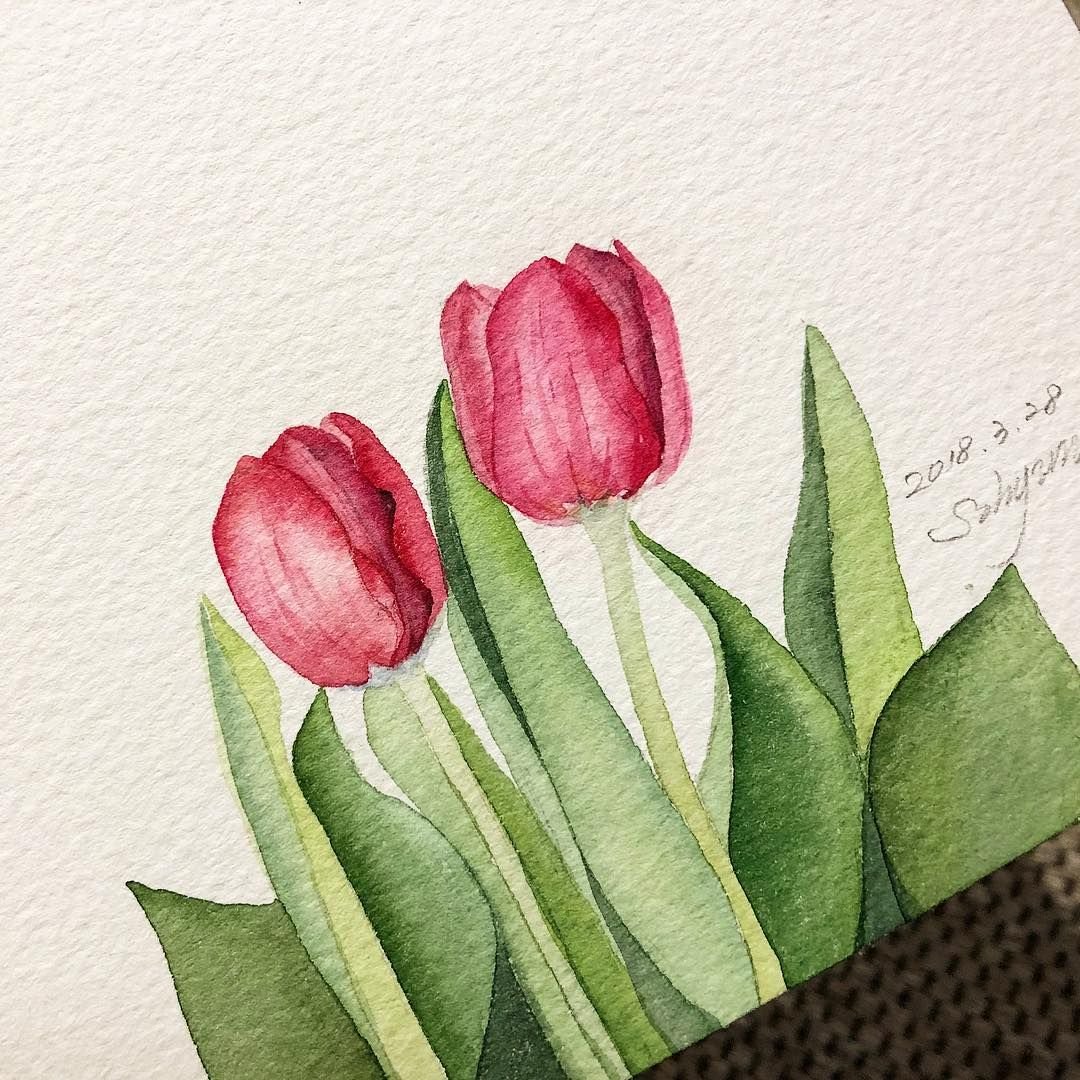 Акварельный скетчинг тюльпаны