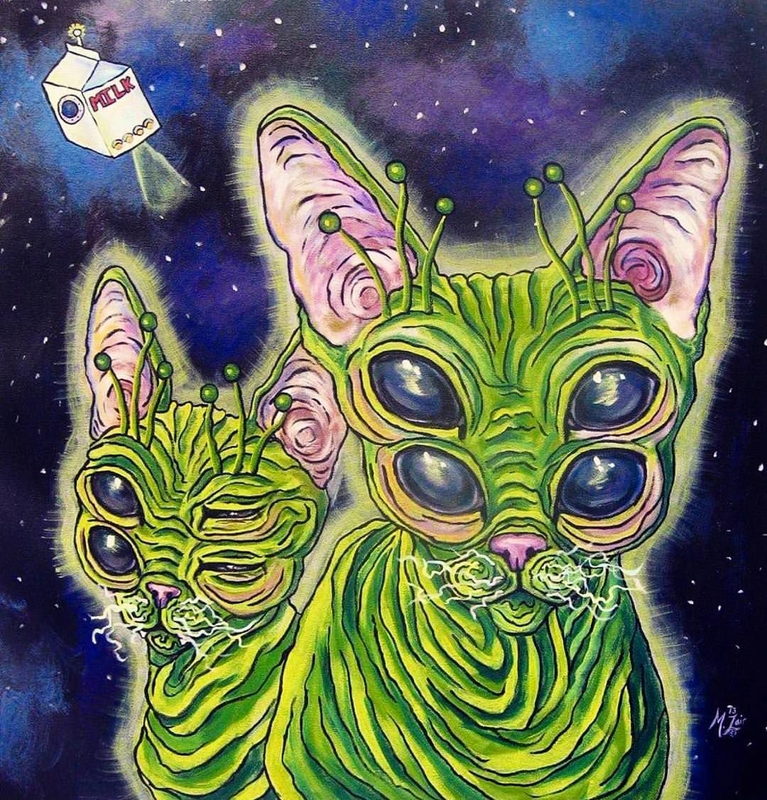 Психоделика животные