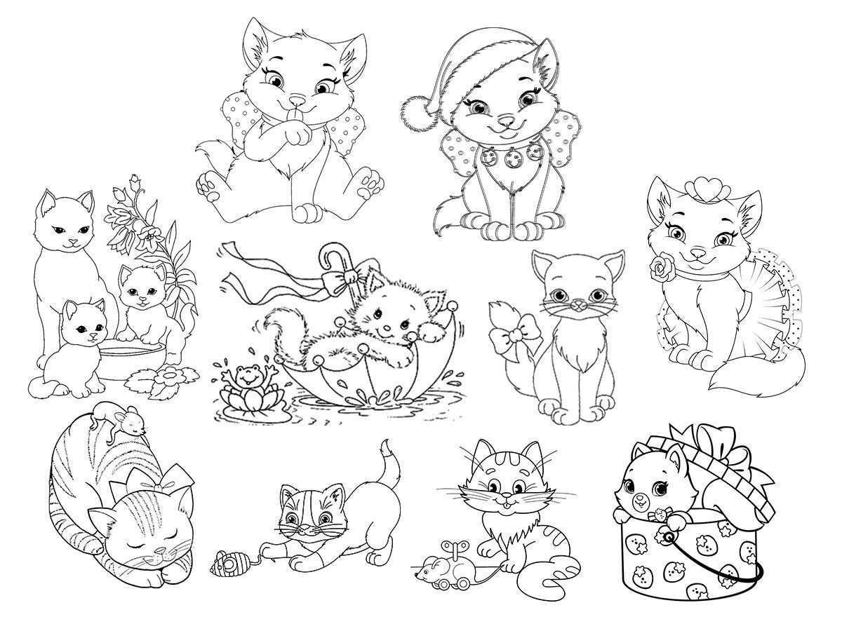 Раскраска хомячок