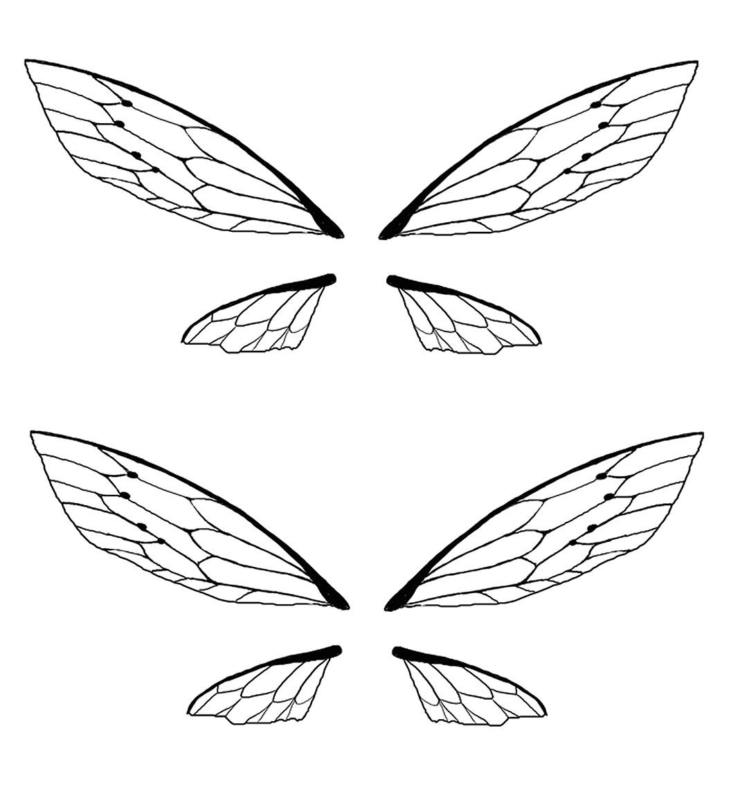 Крылья бабочки контур