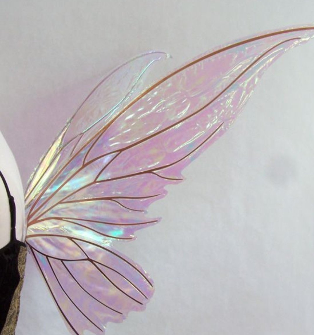 Крылья Стрекозы узор