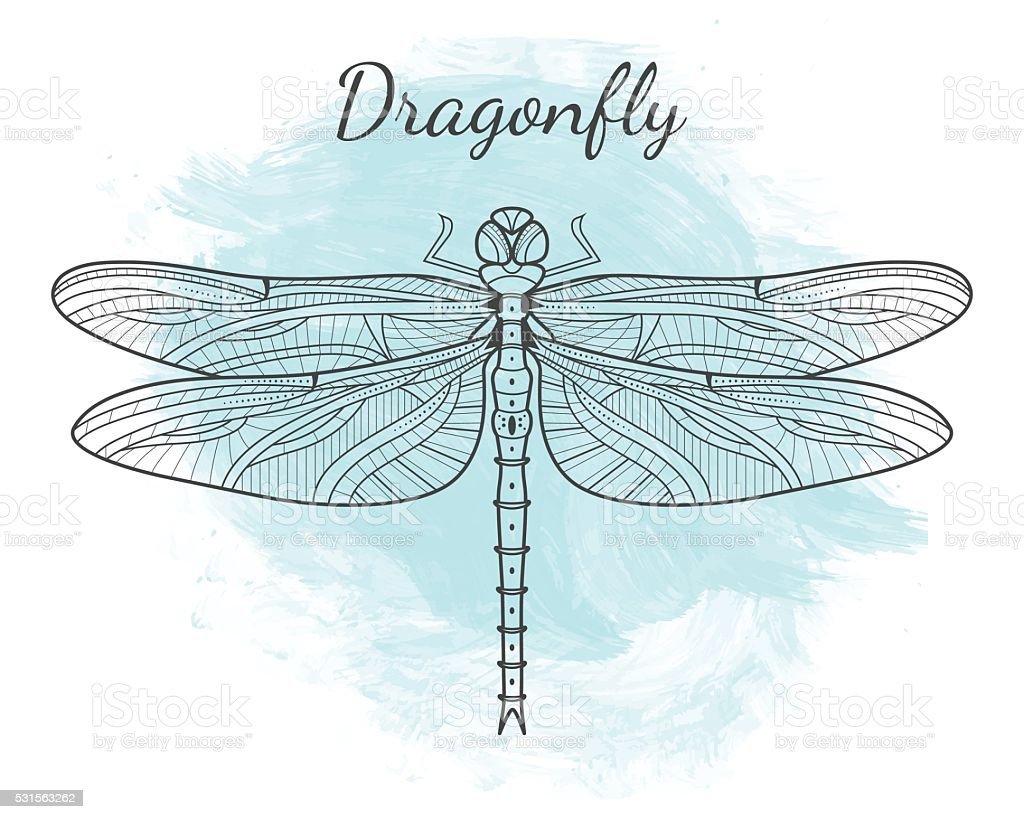 Рисунок кота с крыльями как у Стрекозы