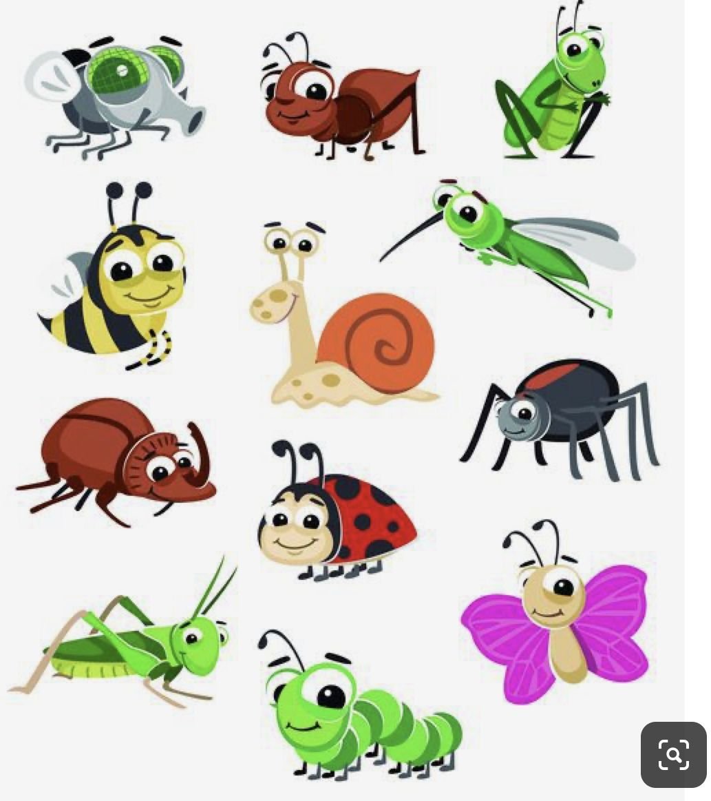 Картинки насекомых для детей цветные. Насекомые для детей. Изображение насекомых для детей. Насекомые картинки для детей. Насикомыекартинка для детей.