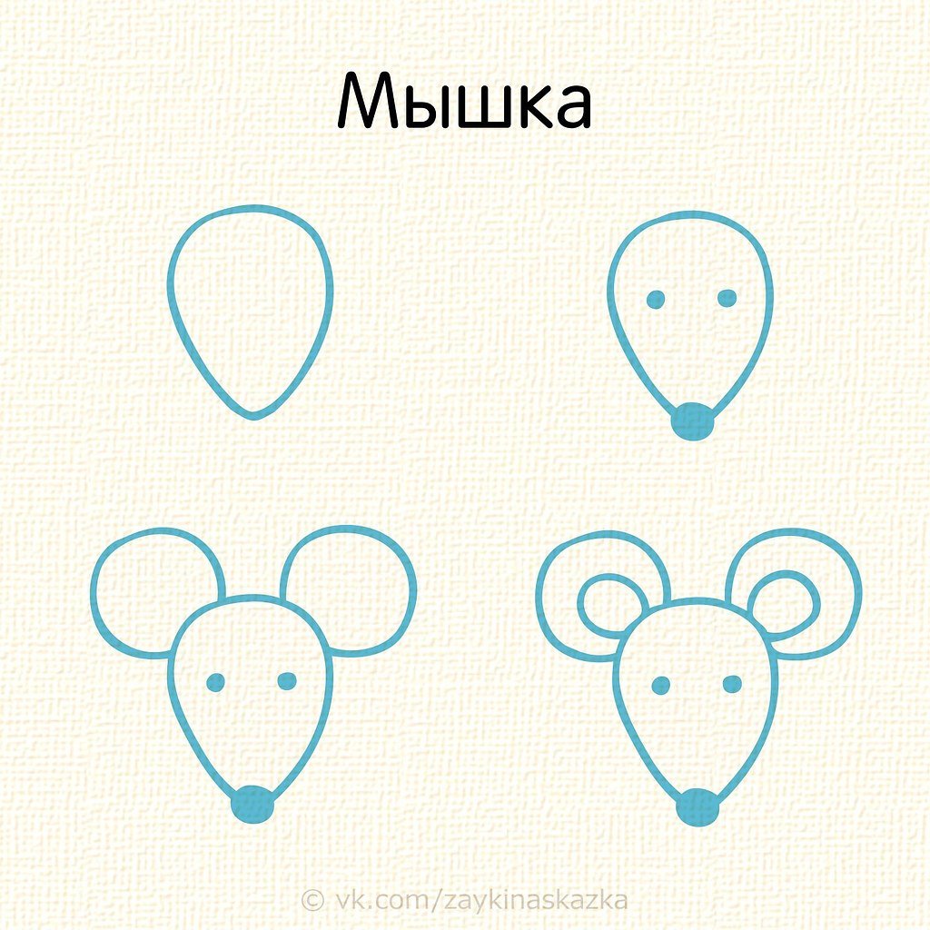 Рисуем мордочки животных поэтапно для детей