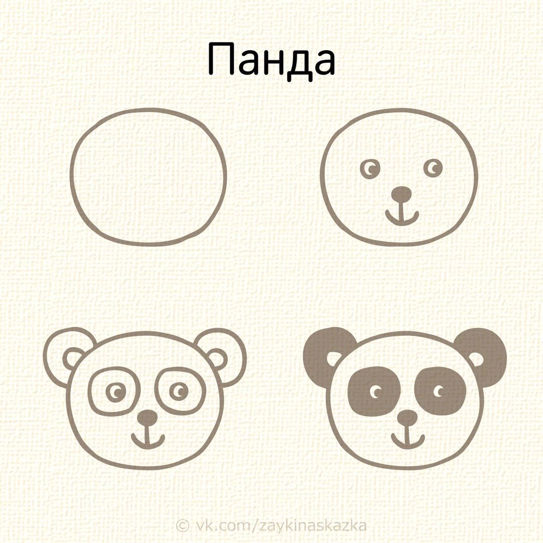 Рисование мордочек животных