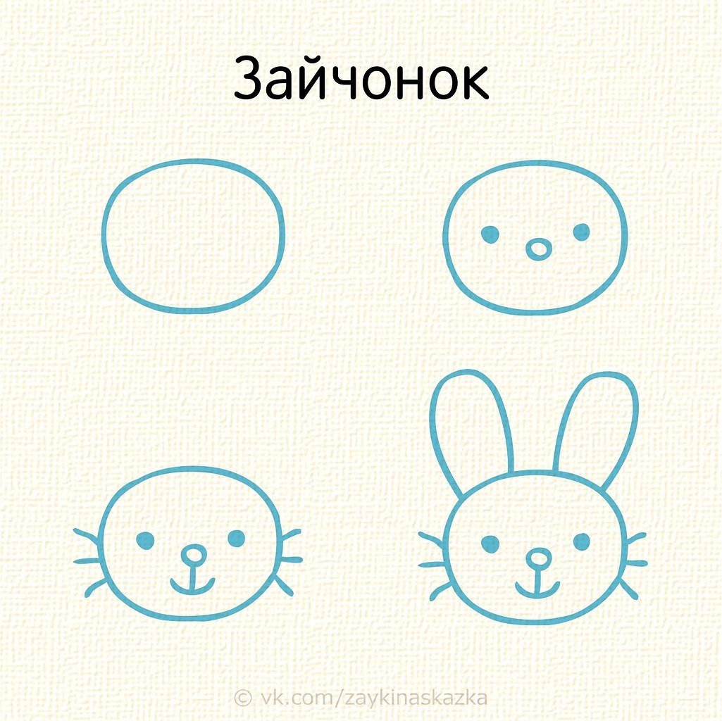 Рисование мордочек животных