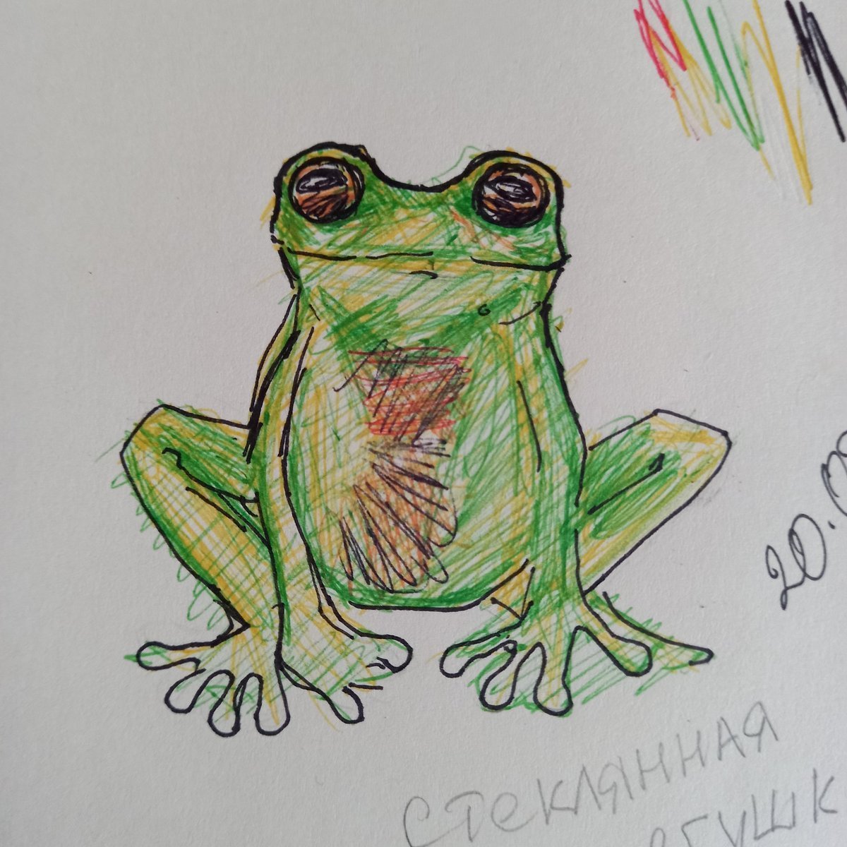 Лягушка раскраска
