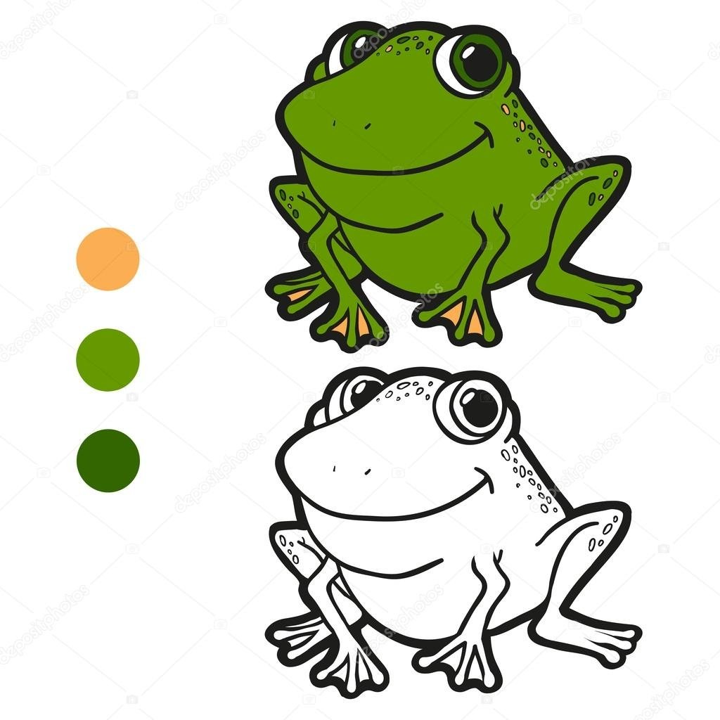 Лягушка раскраска цветная