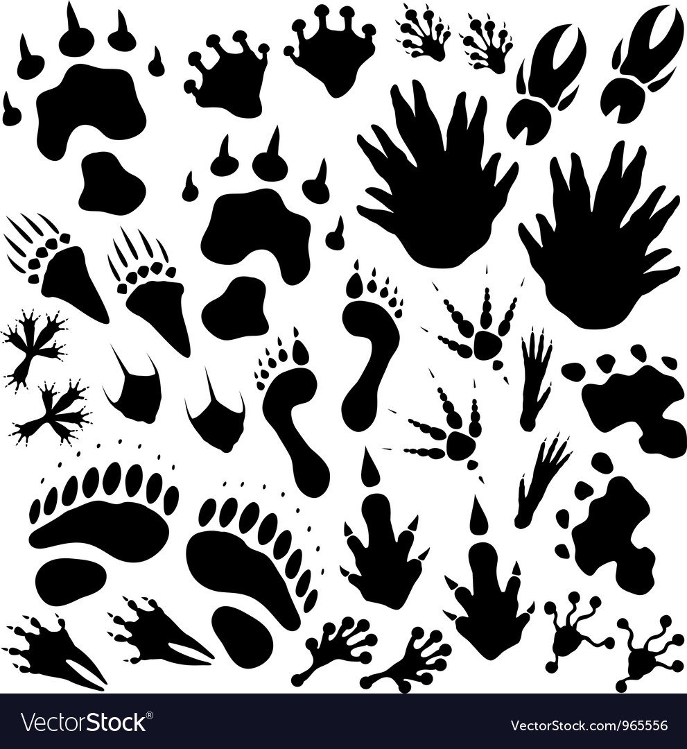 Следы динозавров ч/б