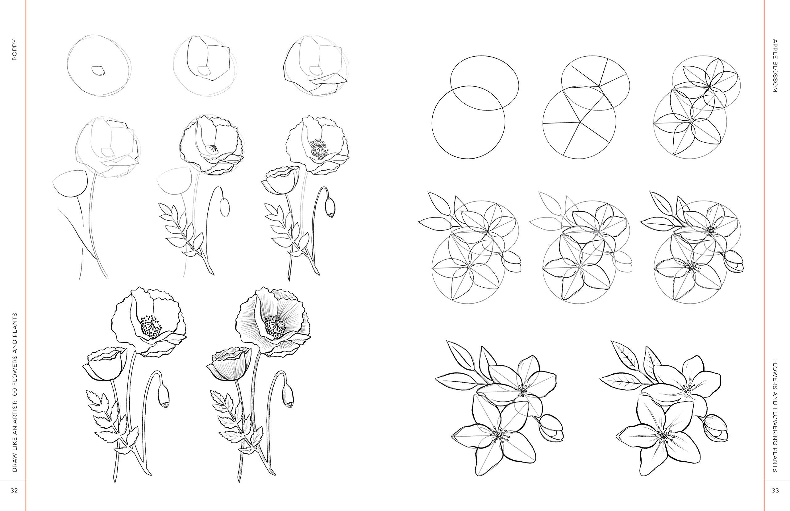 Как можно нарисовать цветок. Цветы для рисования. Поэтапное рисование цветка. Рисунки карандашом цветы для начинающих. Пошаговое рисование цветов для детей.