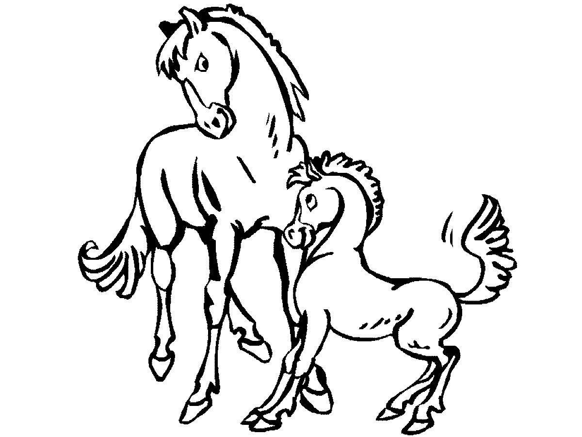 Раскрашиваем лошадку. Раскраска. Лошади. Лошадь для раскрашивания. Лошадка раскраска для детей. Лошадь раскраска для детей.