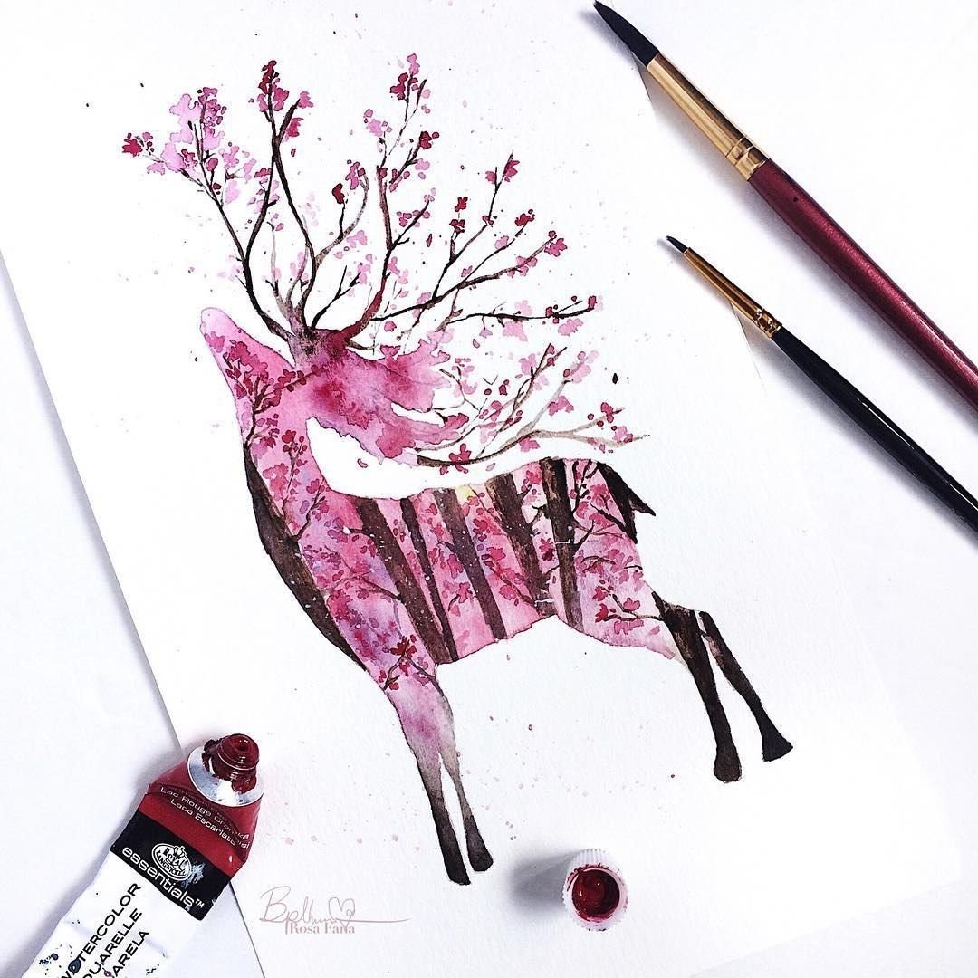 Рисунки одежды