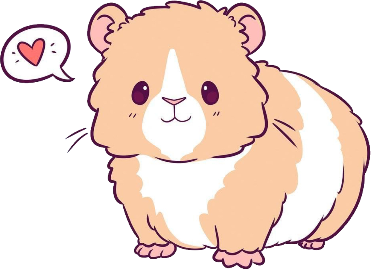 Хомяк хамтаро