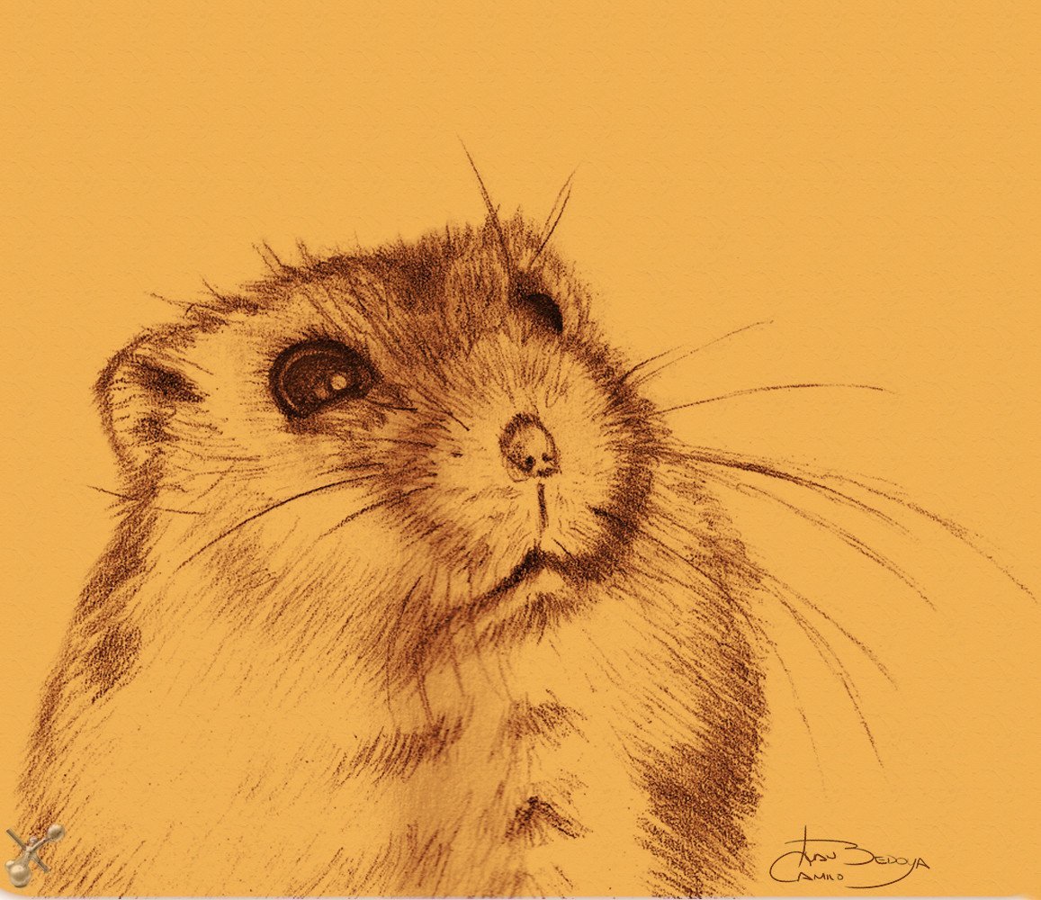 Маленькие рисунки для срисовки