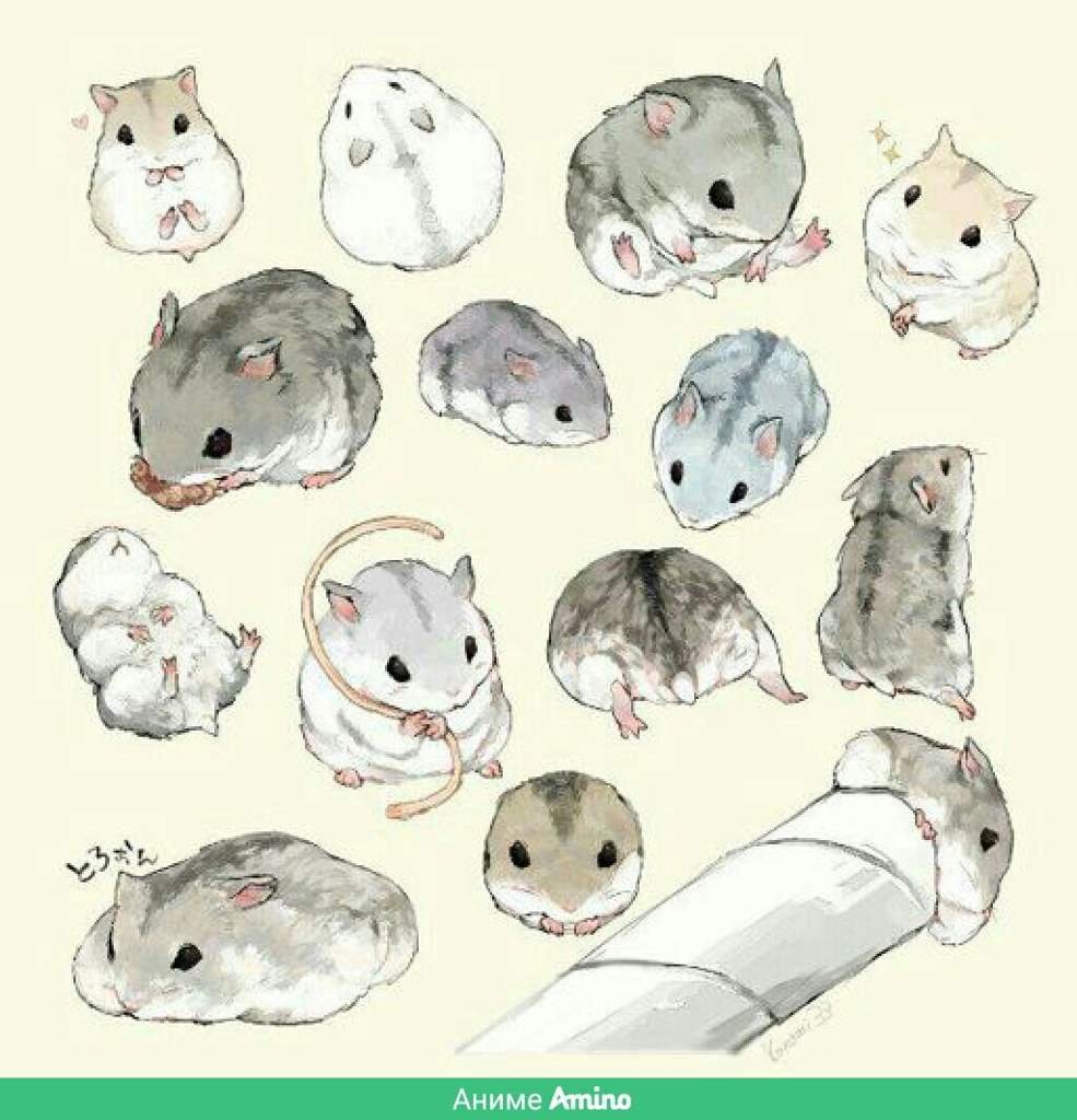 Кавайный хомяк
