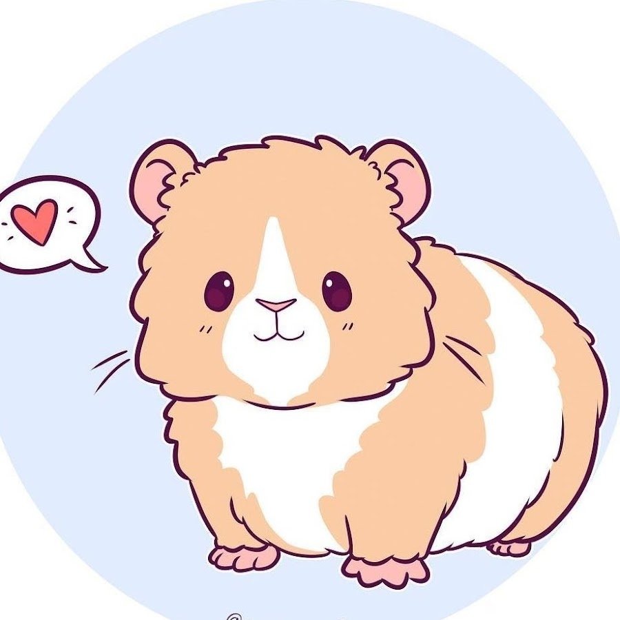 Джунгарский хомяк референс