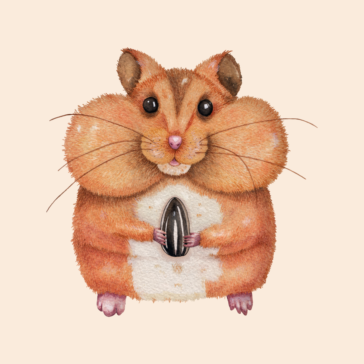 Мультяшные хомячки