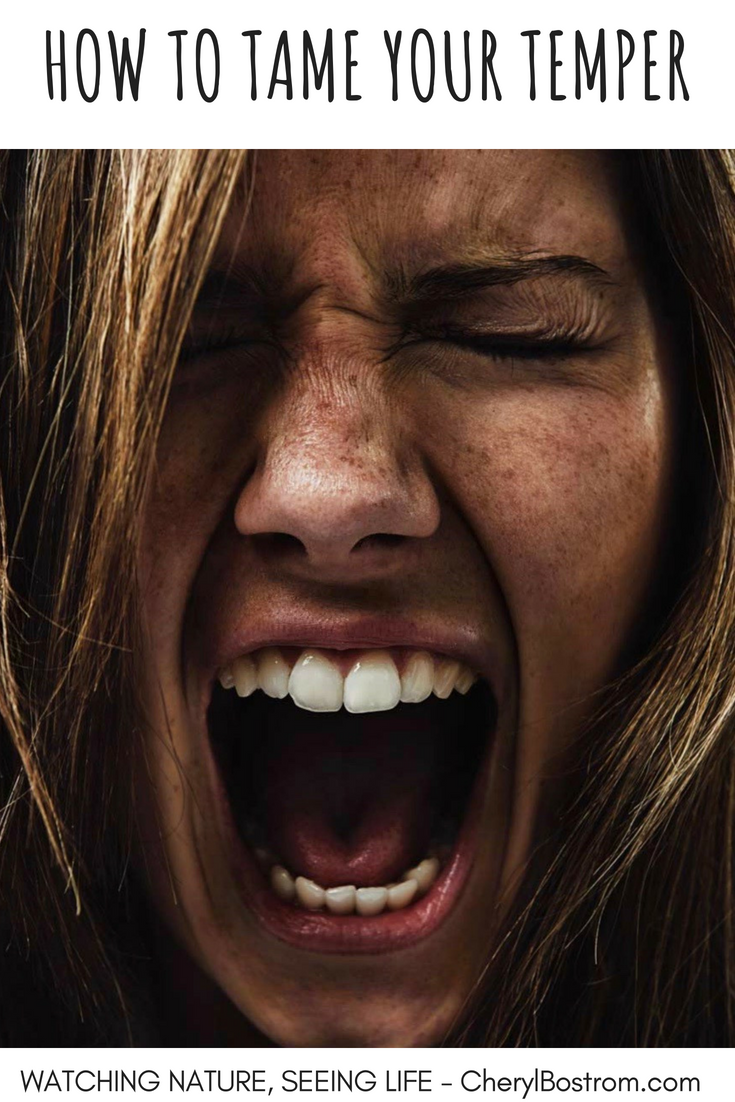 Злая женщина поп арт