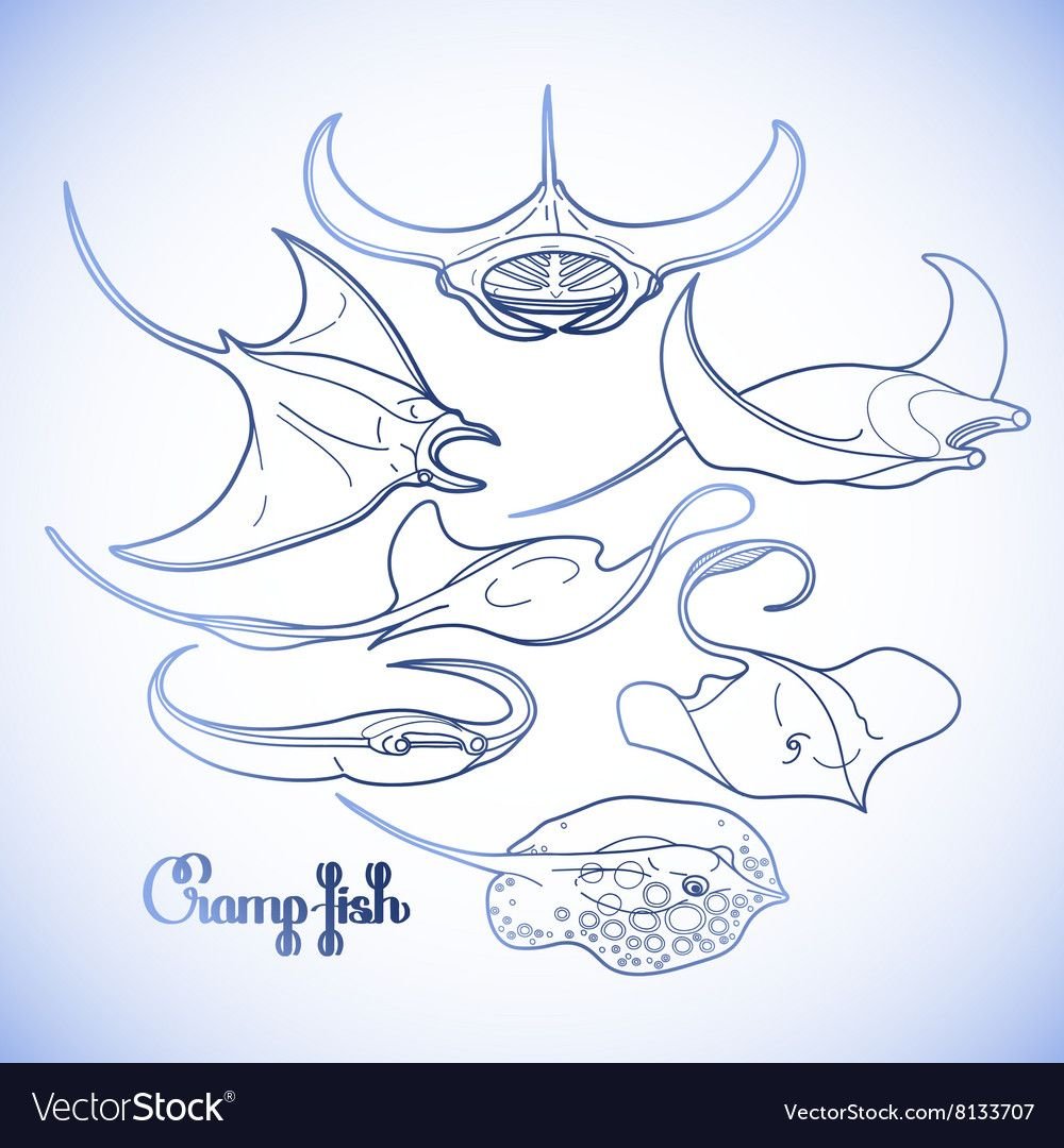 Стилизация формы ската