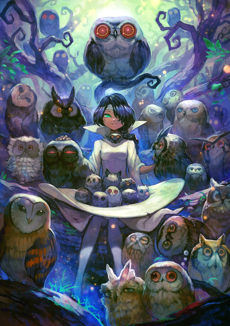 Совиный дом коллекционер аниме арт