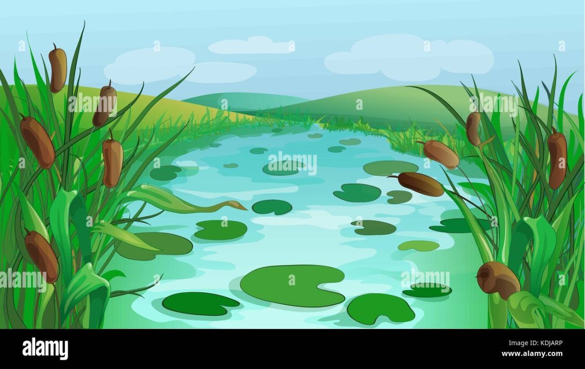 Сказочное болото с камышами