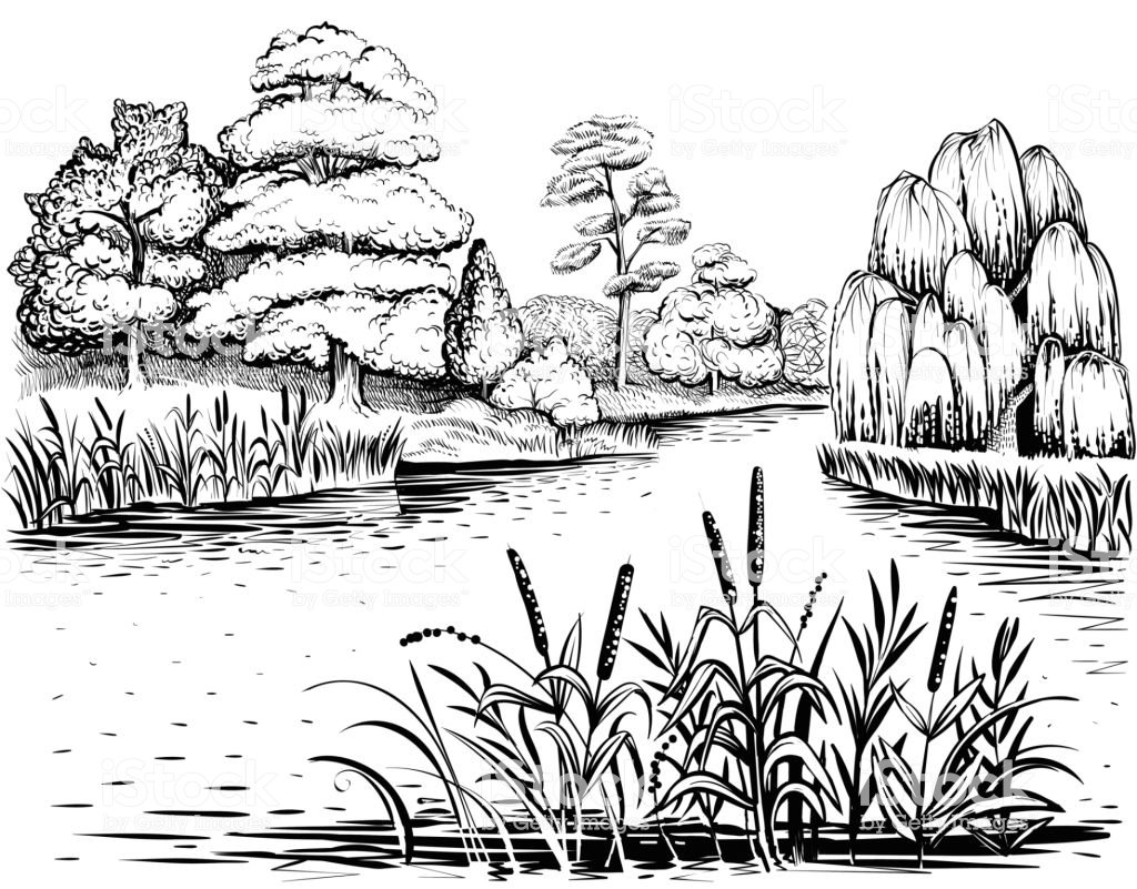 Пруд для детей