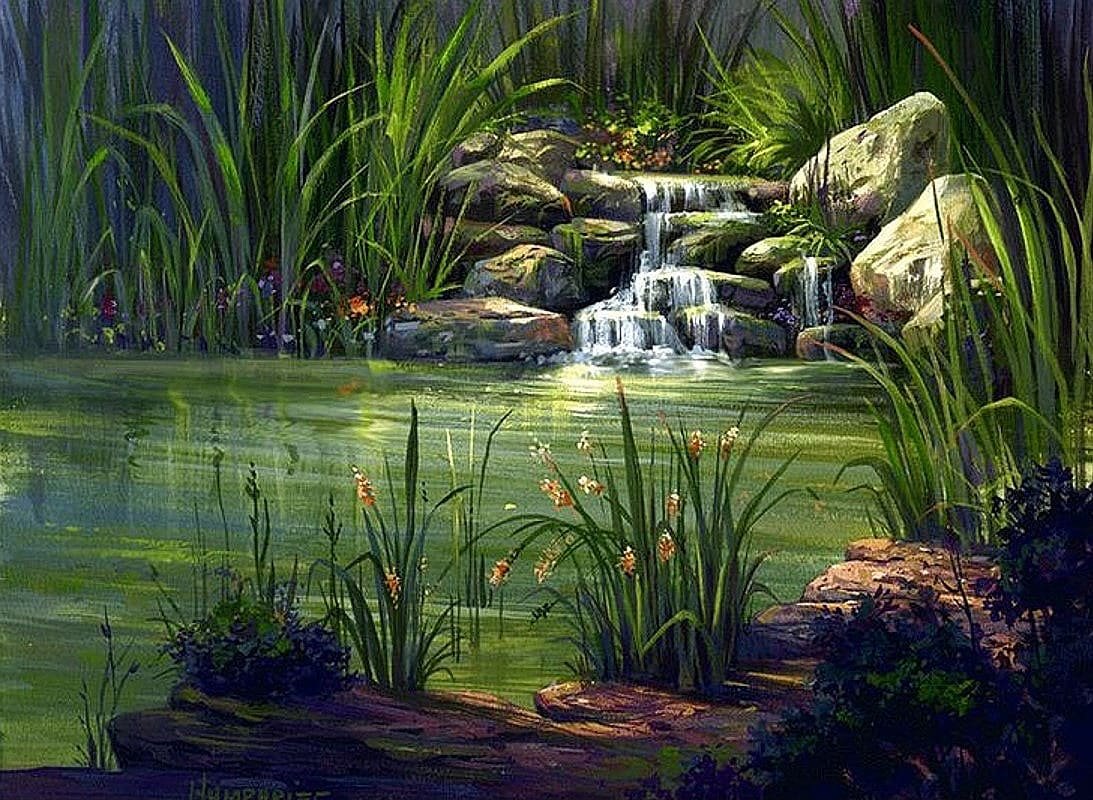 Водоем на белом фоне