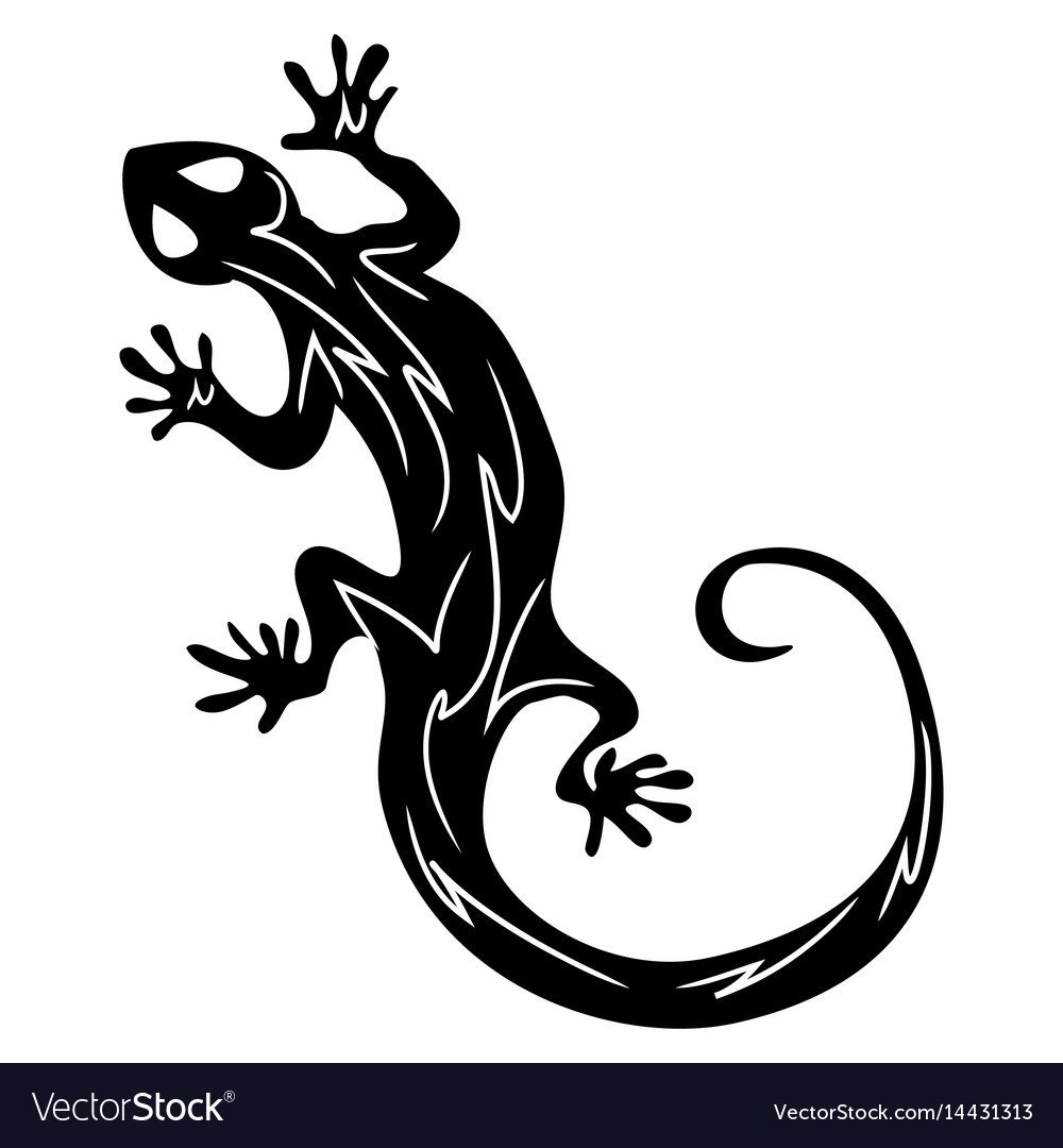 Саламандра тату эскизы