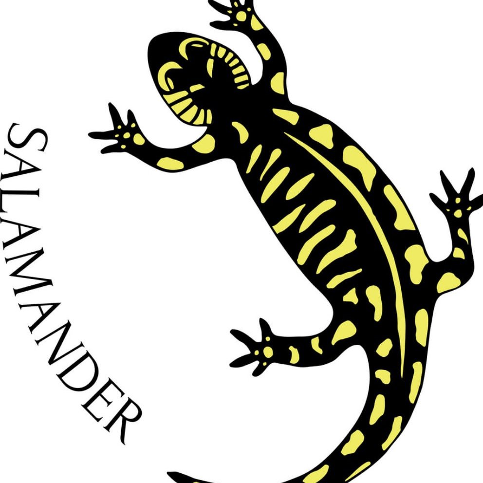 Саламандра эмблема