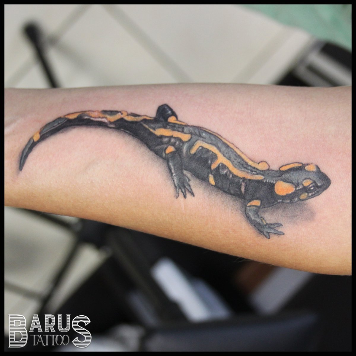 Огненная саламандра тату