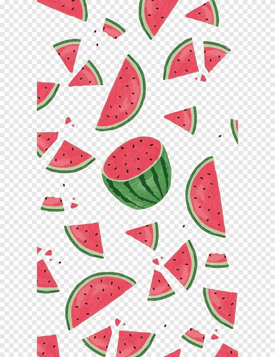 Арбуз вектор